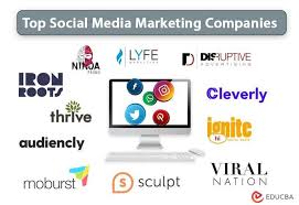 social media campaign companies