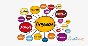 organization