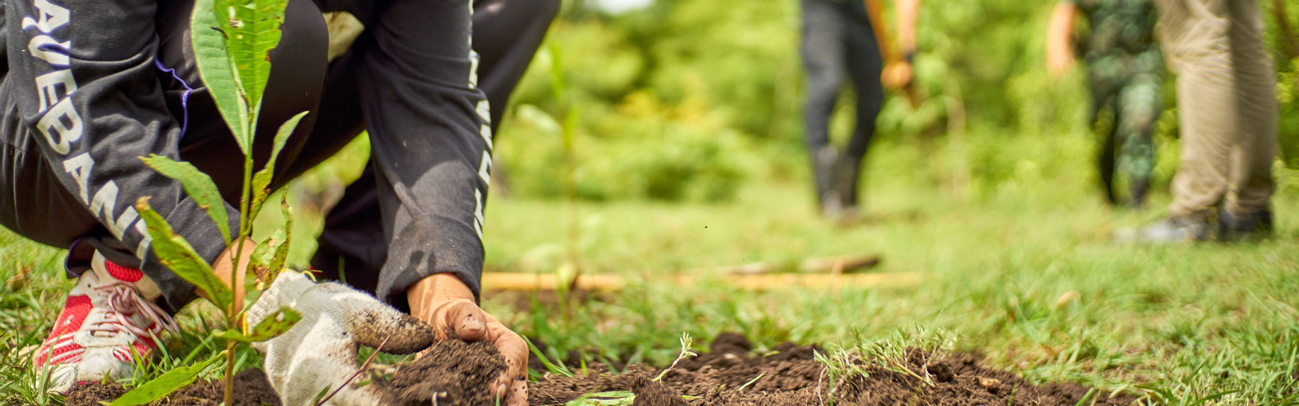 community service nonprofit organization